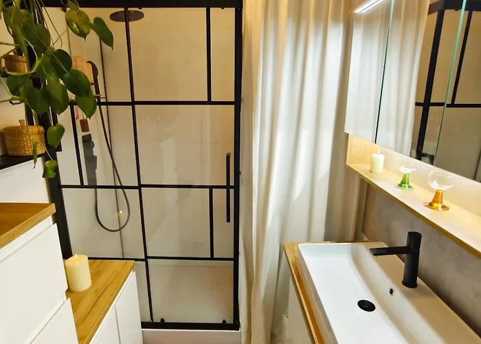 Dachgeschosswohnung Mit Dachterrasse